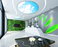 廣東莞綠環保工程有限公司